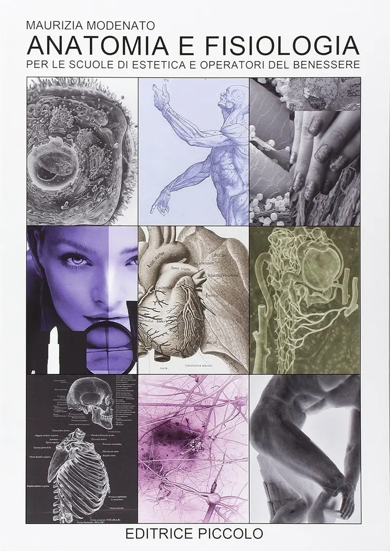Anatomia e fisiologia