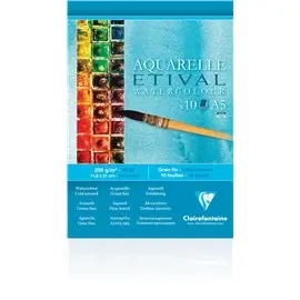 Blocchi Claire Fontaine Etival Study A5 10 F 200G