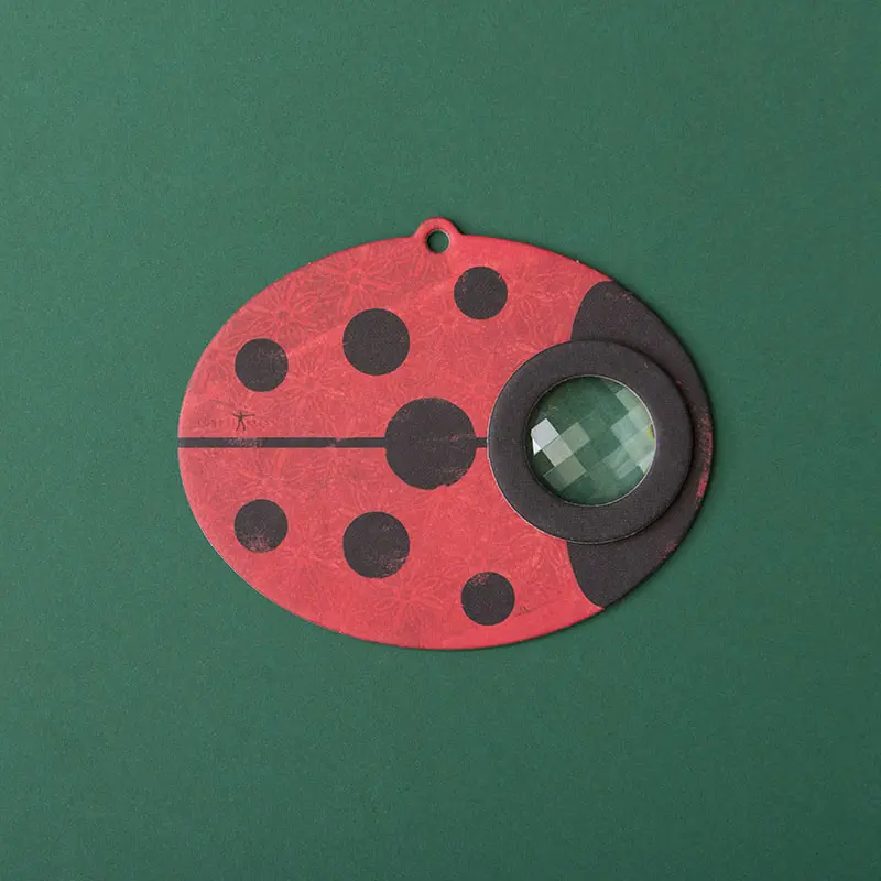 Caleidoscopio - Ladybird Eye