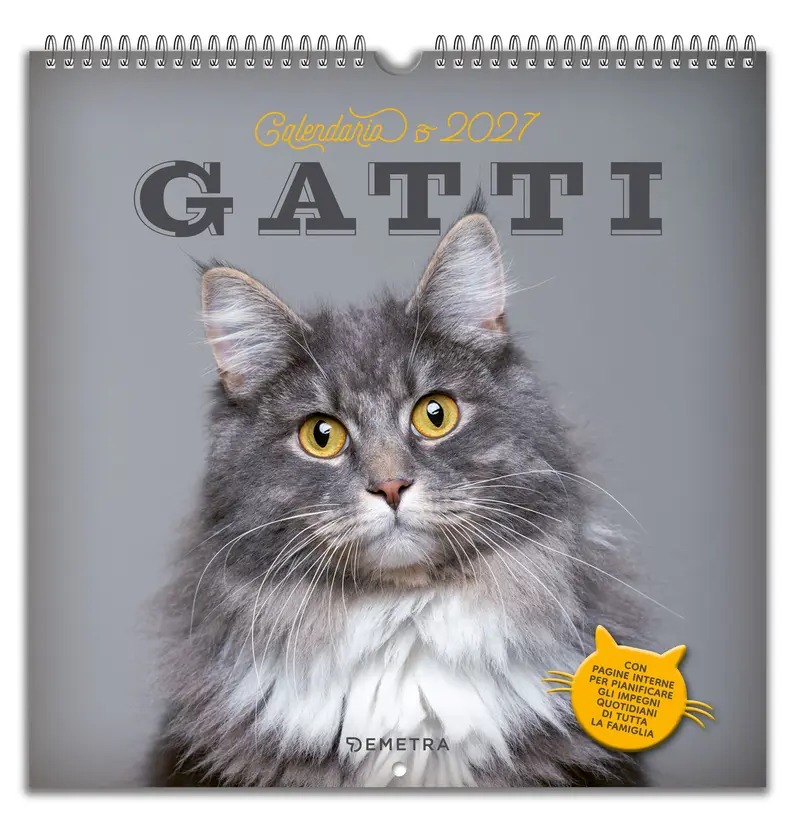 Calendario Gatti 2027 da parete (30 x 30 cm)