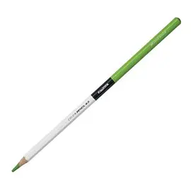 Carioca Plus Color Pencil 07 Light Green 12 pz.