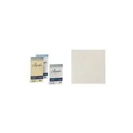 Carta Calligraphy Pergamena 190 gr. 50 ff