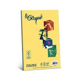 Carta Le Cirque Col. Forti gr. 80 A4 500 ff Assort. 5 Col.