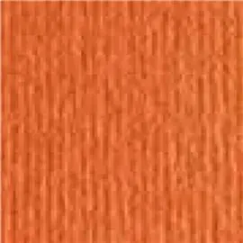 Cartoncino Cartacrea 10 ff 35x50 Aragosta