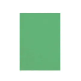 Cartoncino Similpelle A4 230 gr/mq Verde 100 ff