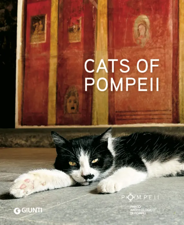 CATS OF POMPEII