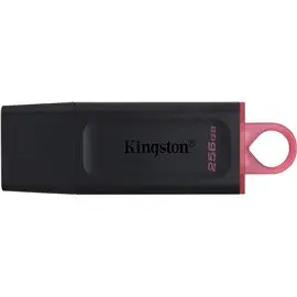 Chiavetta USB Kingston Data Traveler 256 GB 3.2