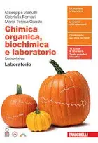Chimica organica, biochimica e laboratorio