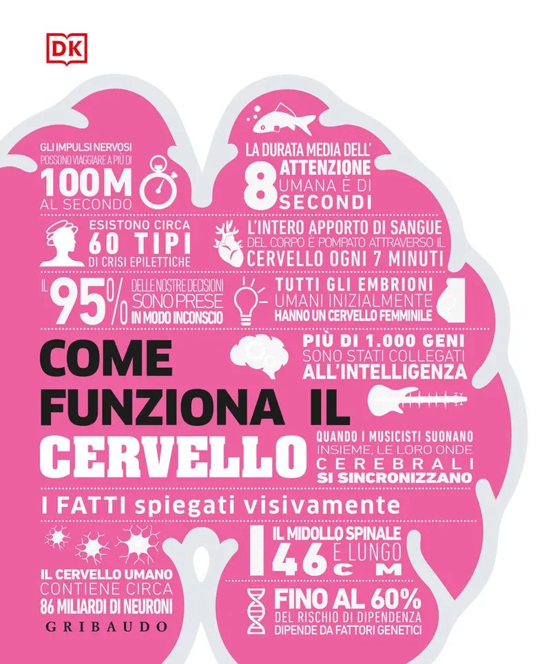 Come funziona il cervello. I fatti spiegati visivamente