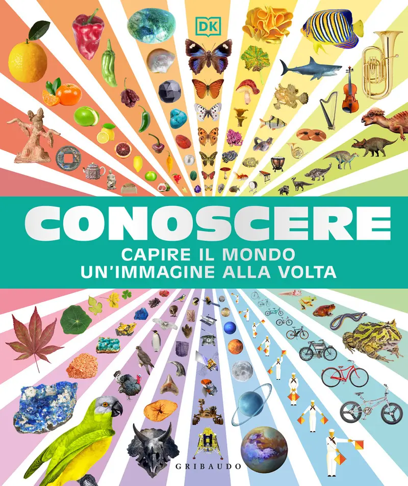 Conoscere. Capire il mondo un'immagine alla volta