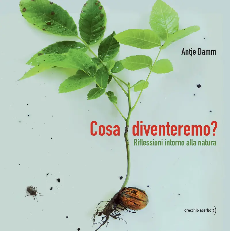 Cosa diventeremo?