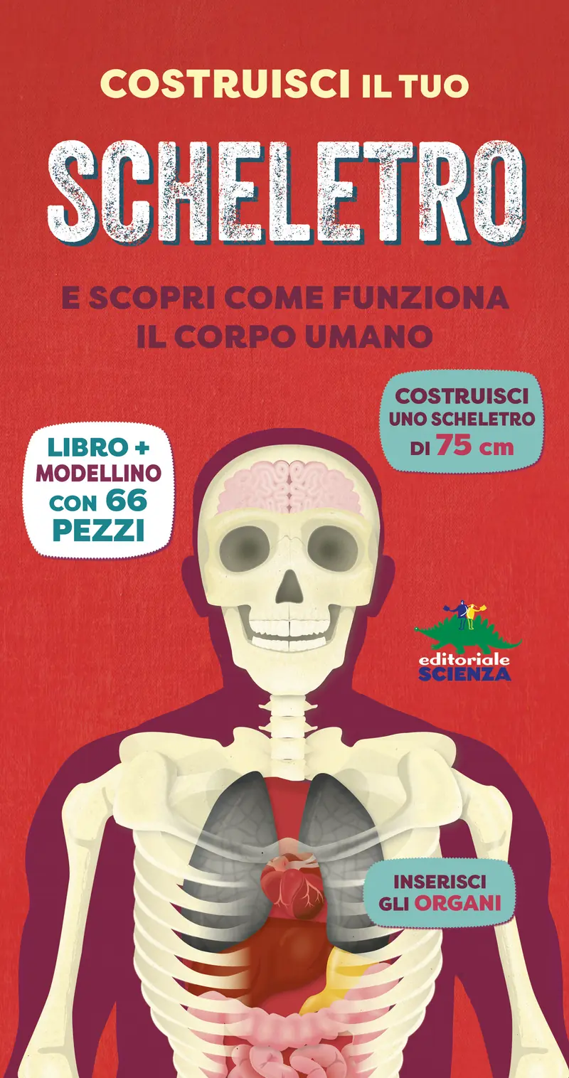 Costruisci il tuo scheletro. e scopri come funziona il corpo umano