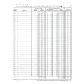 DU Registri Cespiti Ammortizzabili 31x24,5 45 ff 136800000