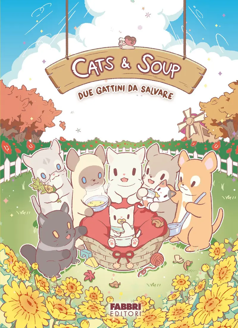 Due gattini da salvare. Cats & Soup