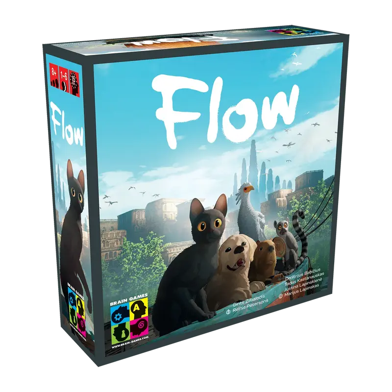 Flow