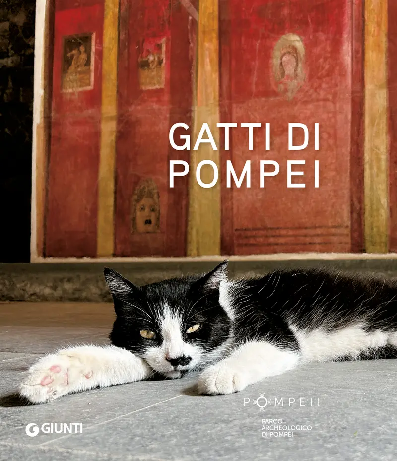 GATTI DI POMPEI