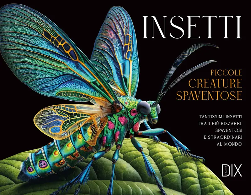 Gli insetti