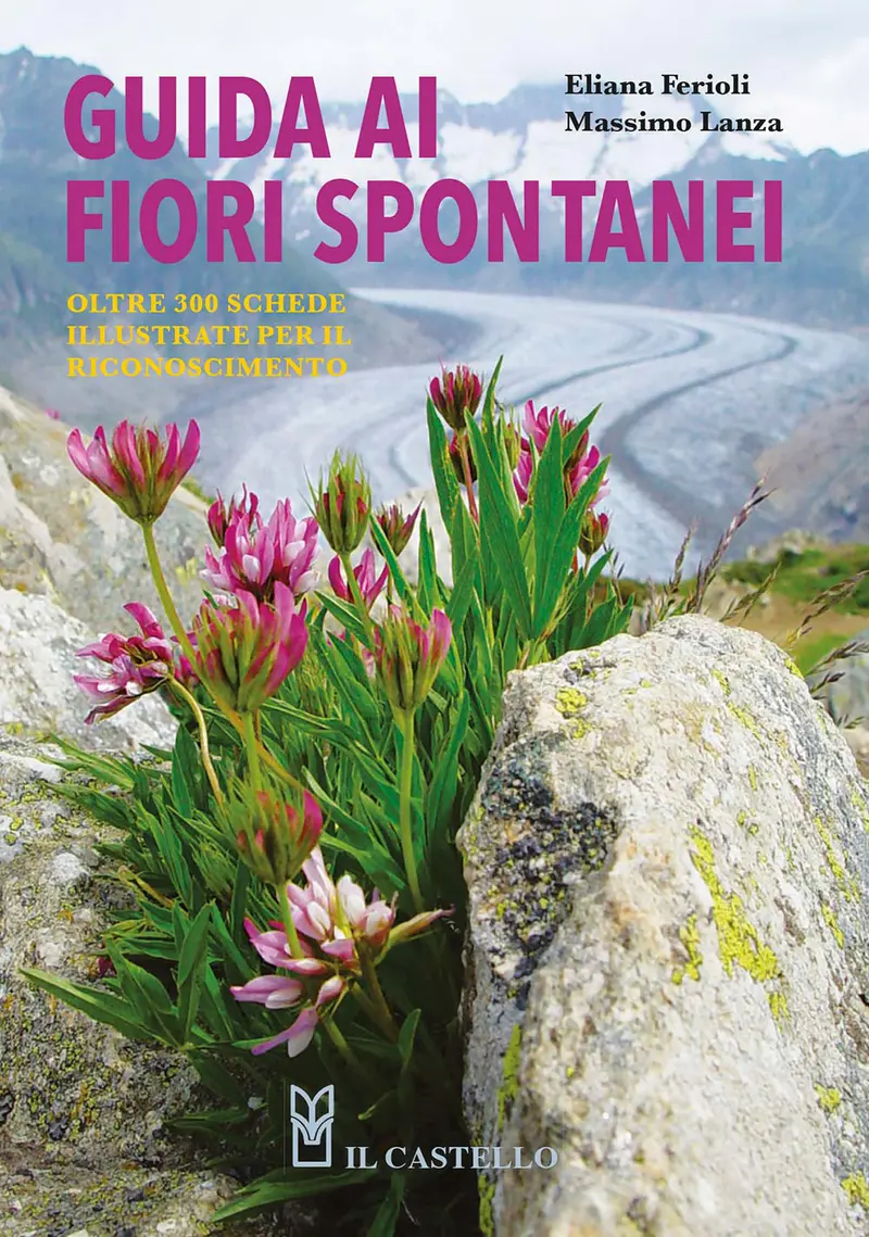 Guida ai fiori spontanei