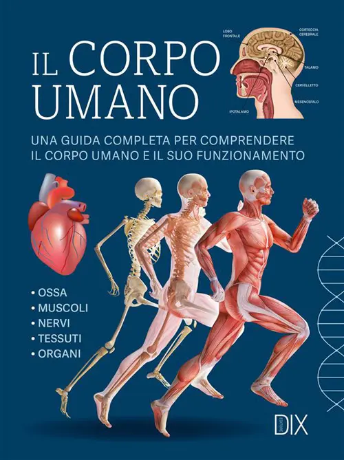 Il corpo umano