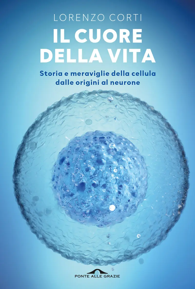 Il cuore della vita