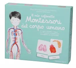 Il mio cofanetto montessori del corpo umano