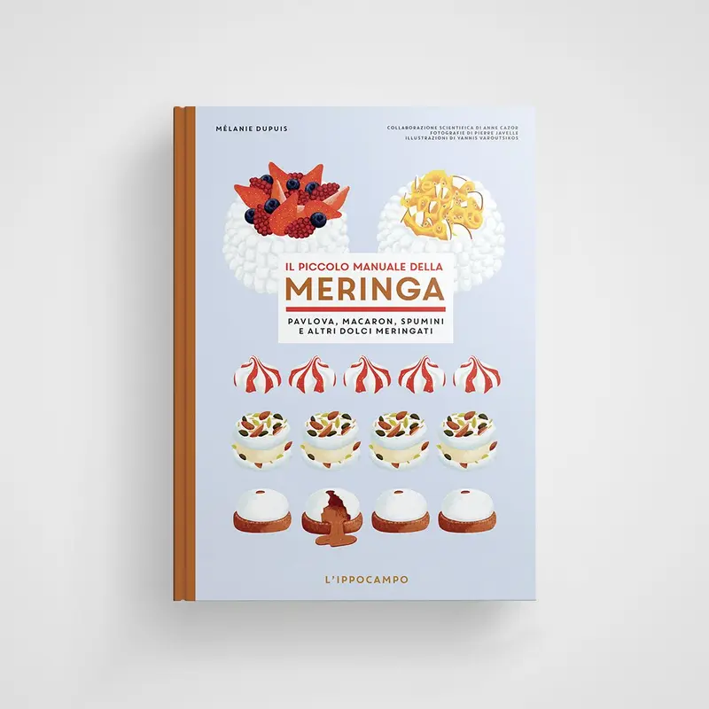 Il piccolo manuale della meringa