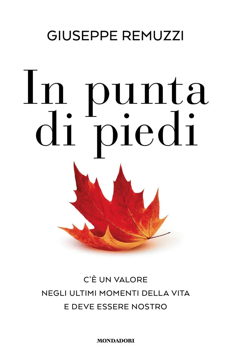 In punta di piedi