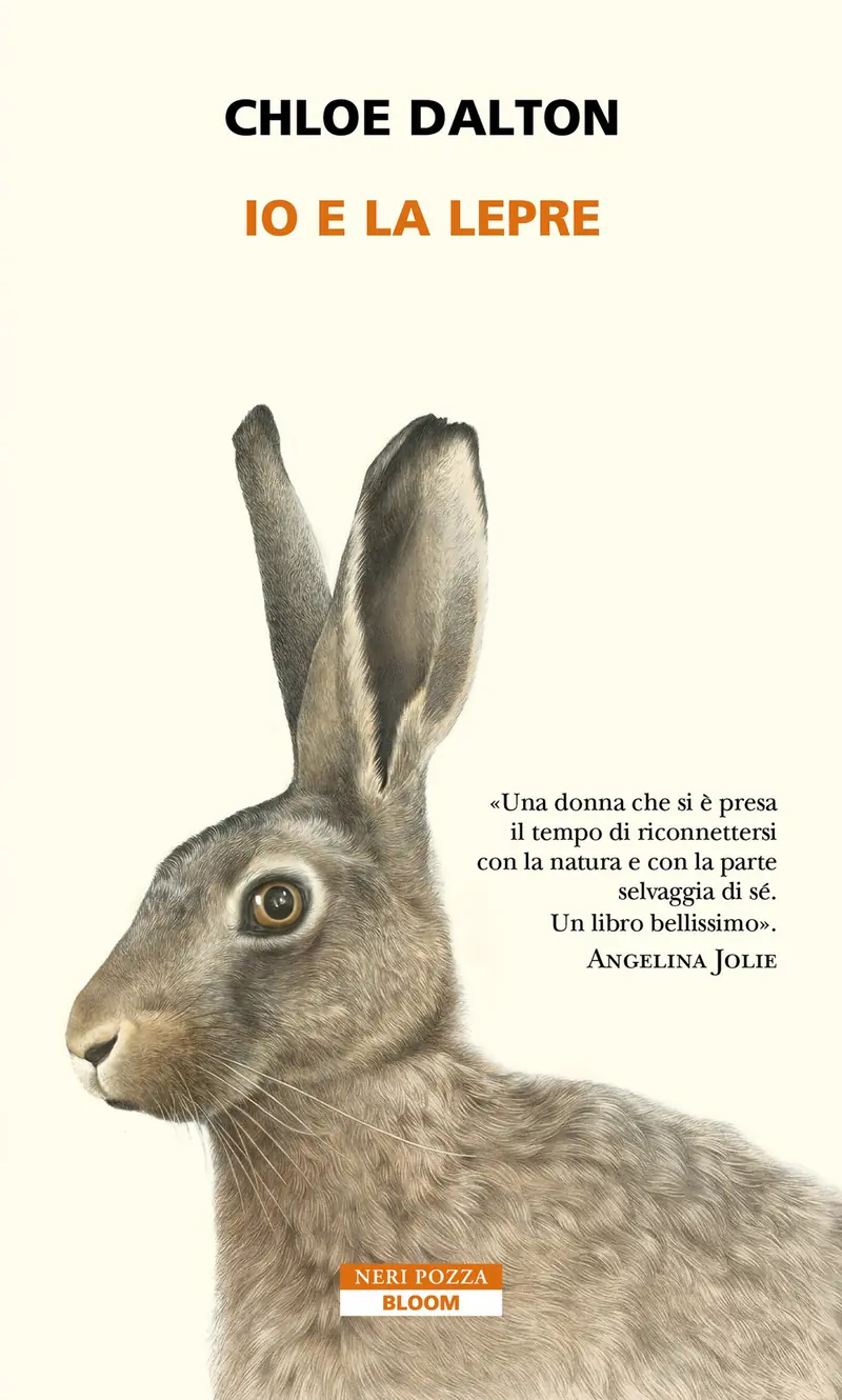 Io e la lepre