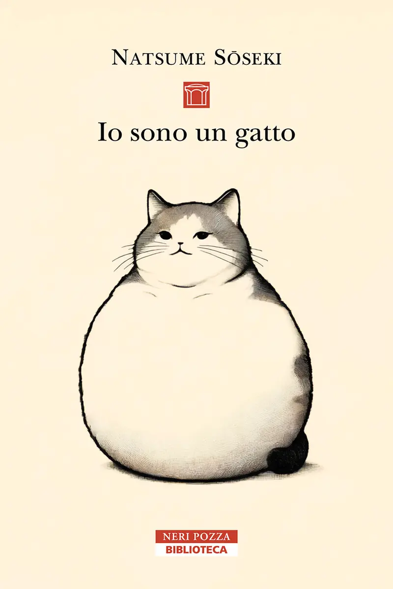 Io sono un gatto
