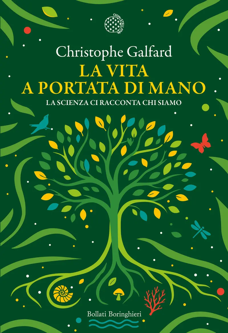 La vita a portata di mano