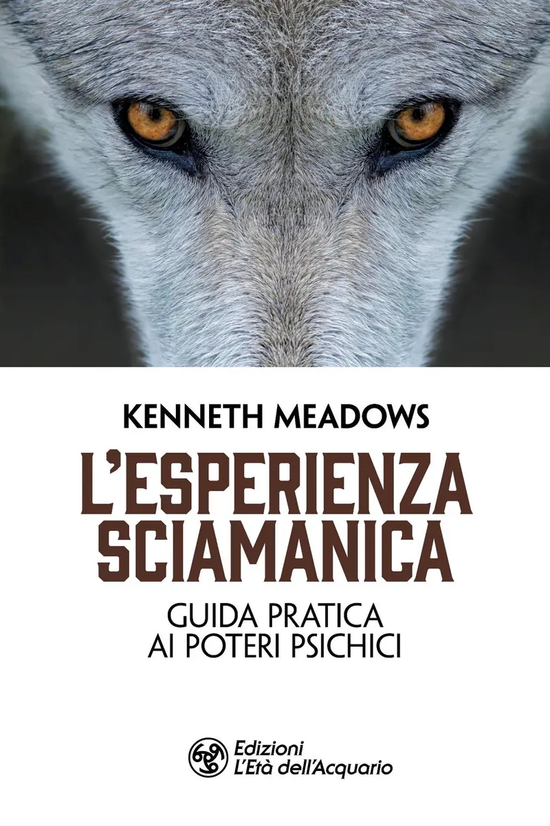 L'esperienza sciamanica. Guida pratica ai poteri psichici