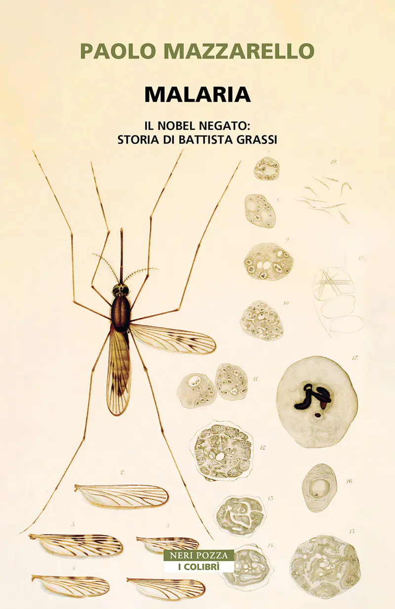 Malaria. Il Nobel negato