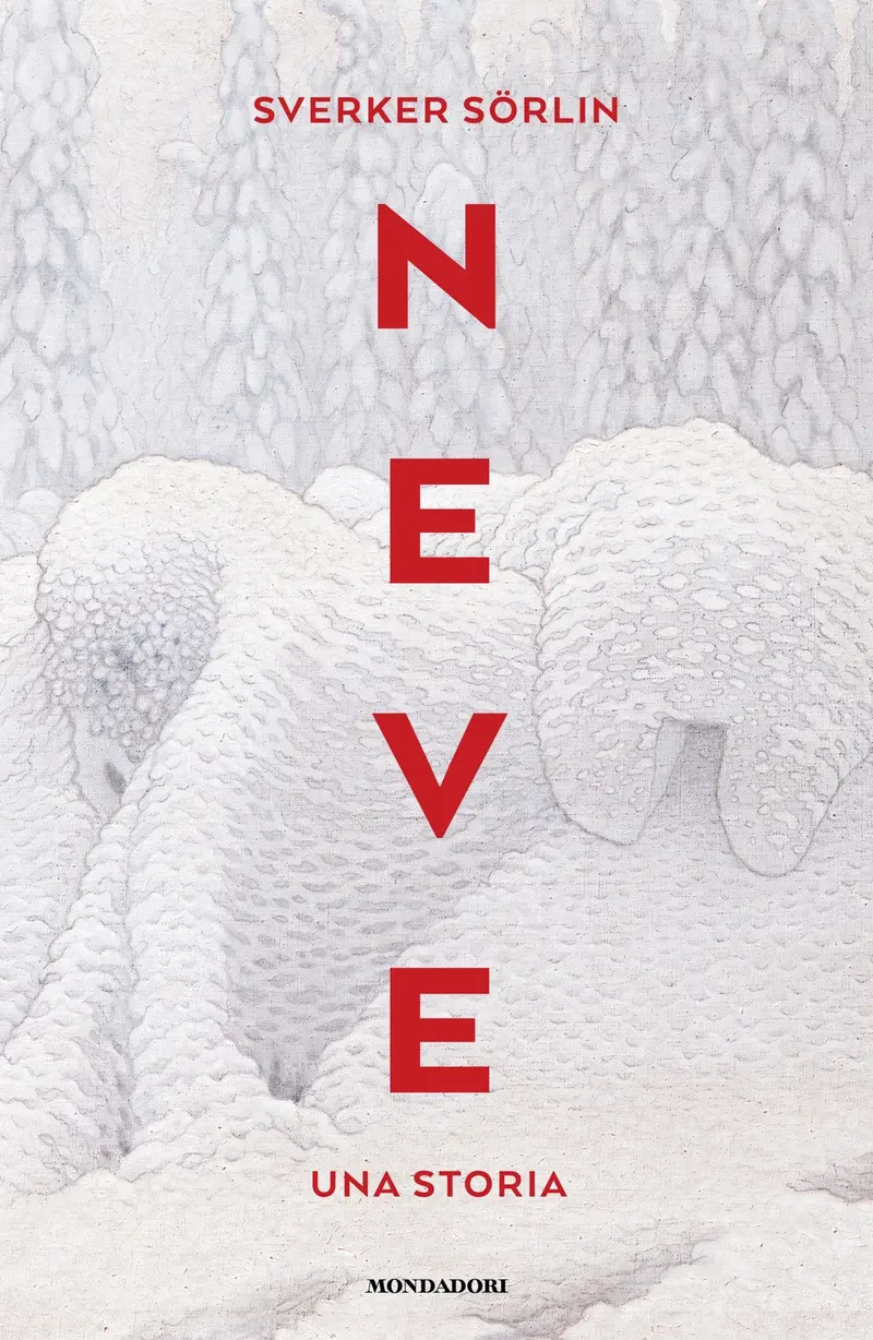 Neve. Una storia
