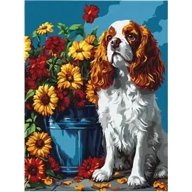 Painting by Numbers 30х40
