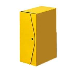 Scatola Progetti Acco dorso 10