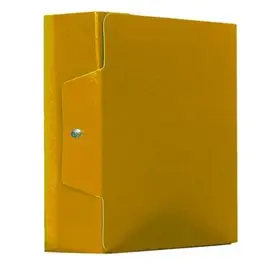Scatola Progetti Acco dorso 15