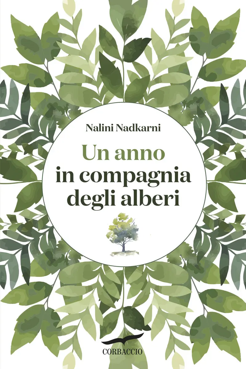 Un anno in compagnia degli alberi