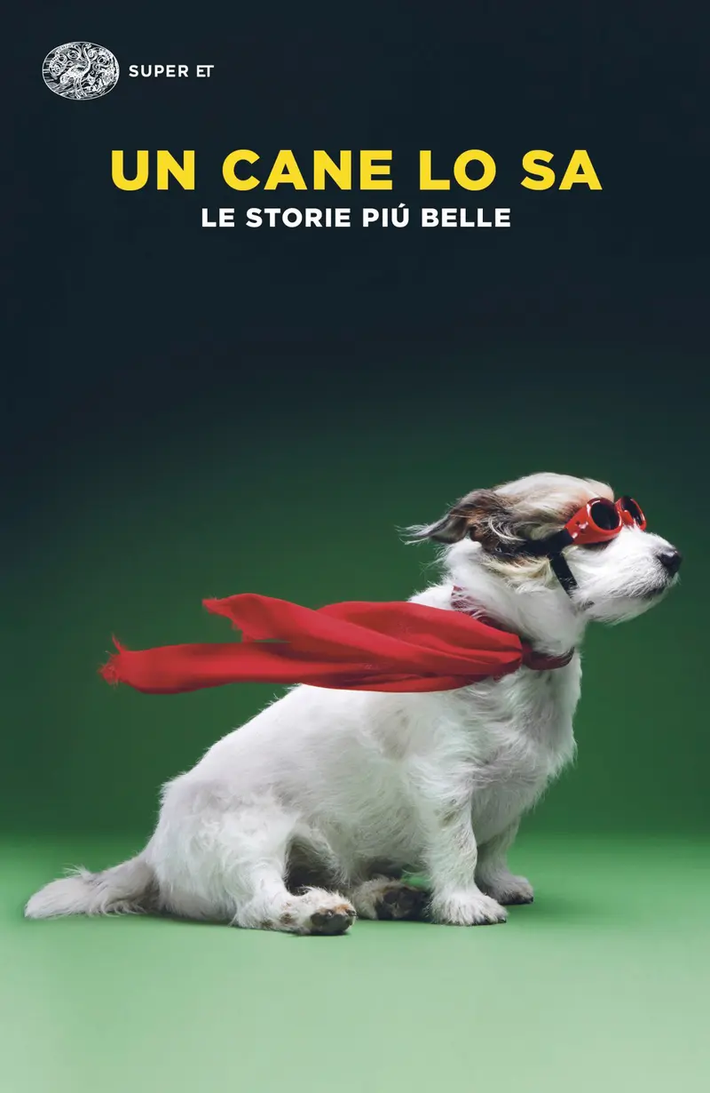 Un cane lo sa. Le storie più belle