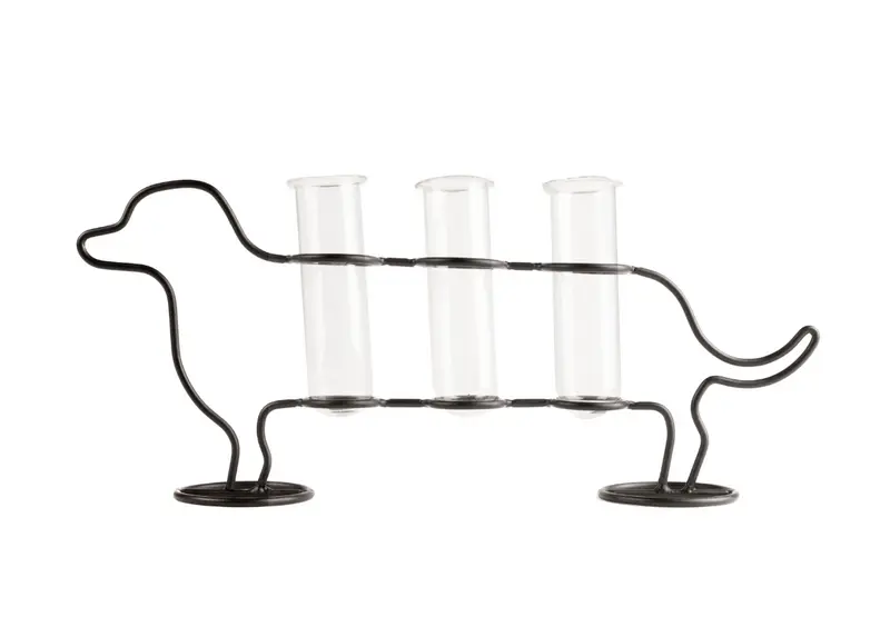 Vaso di propagazione a forma di Bassotto