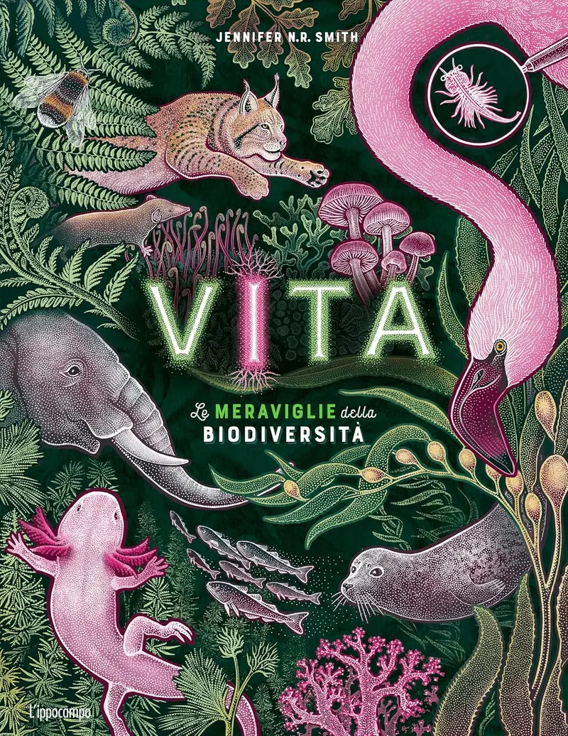 Vita - Le meraviglie delle biodiversità