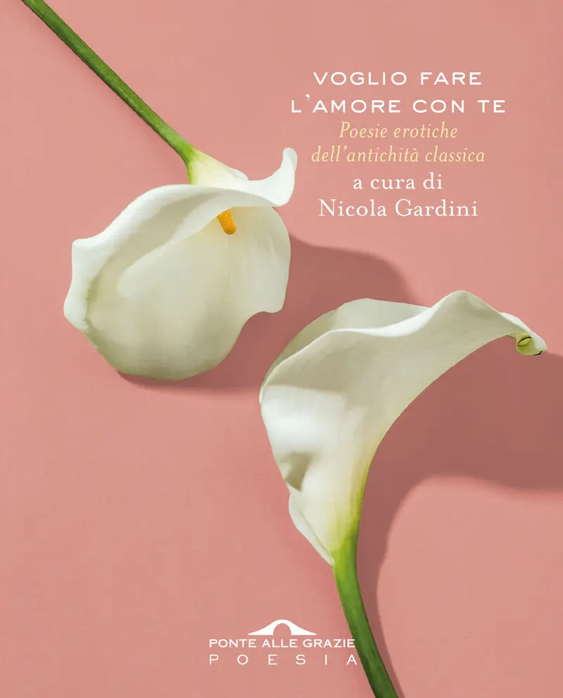 Voglio fare l'amore con te. Poesie erotiche dell'antichità classica